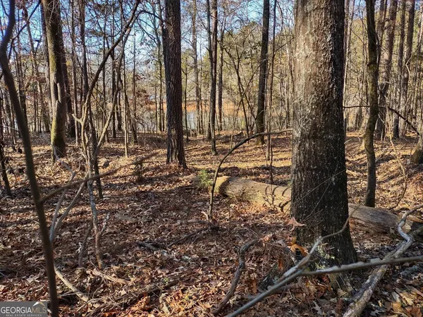 a black and white photo of a white house