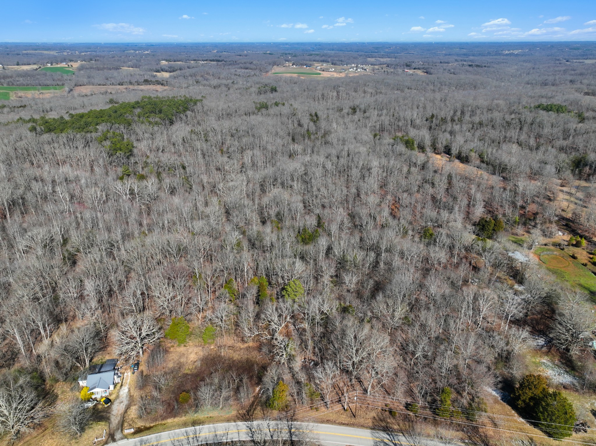 1505 Southside Road Southside, TN 37171 - Photo 14 of 23 a view of a city with lush green forest