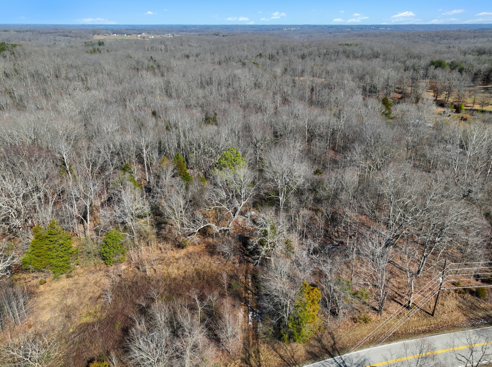 1505 Southside Road Southside, TN 37171 - Photo 18 of 23 a view of a dry field