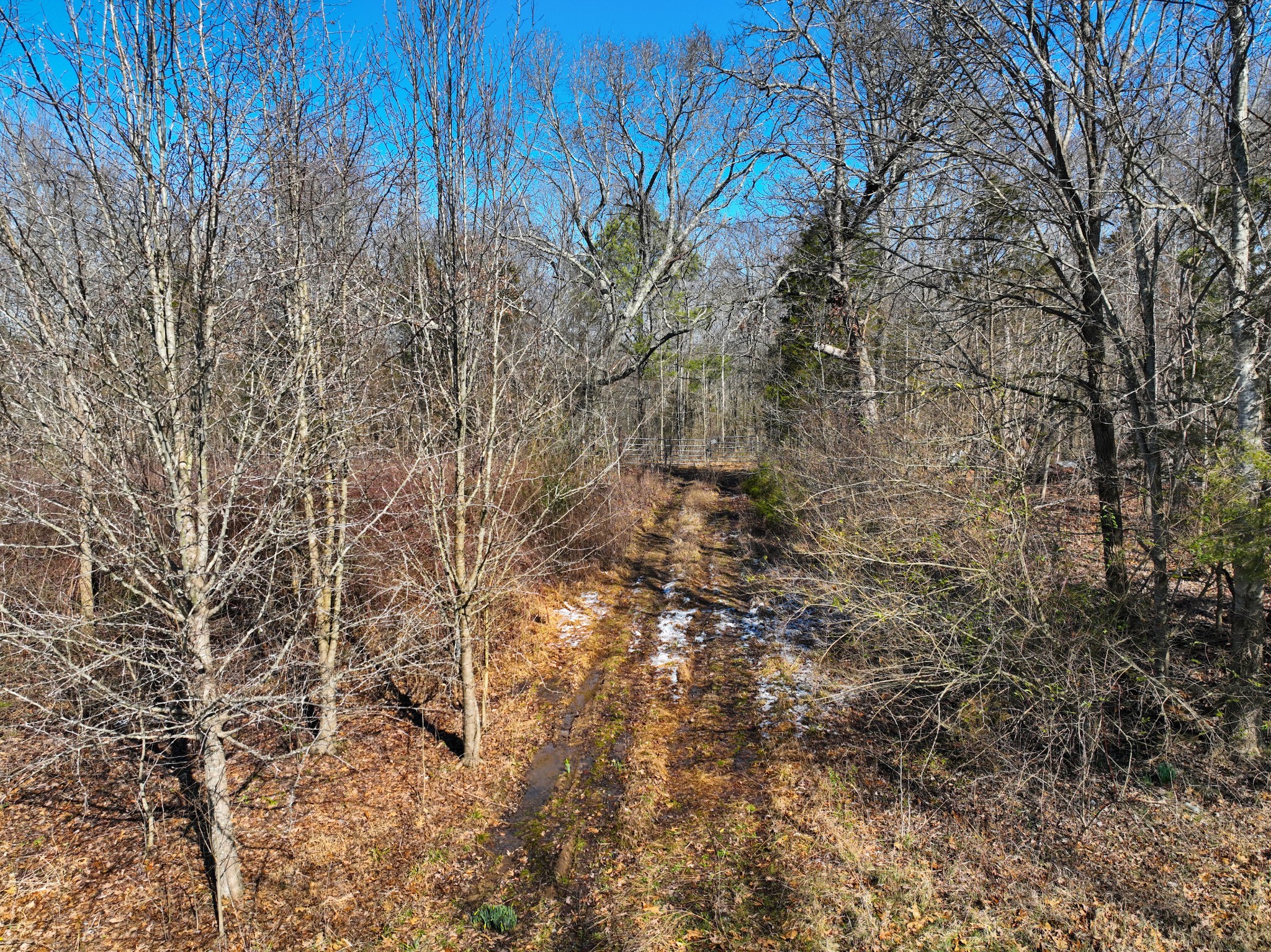 1505 Southside Road Southside, TN 37171 - Photo 19 of 23 a view of a yard with trees