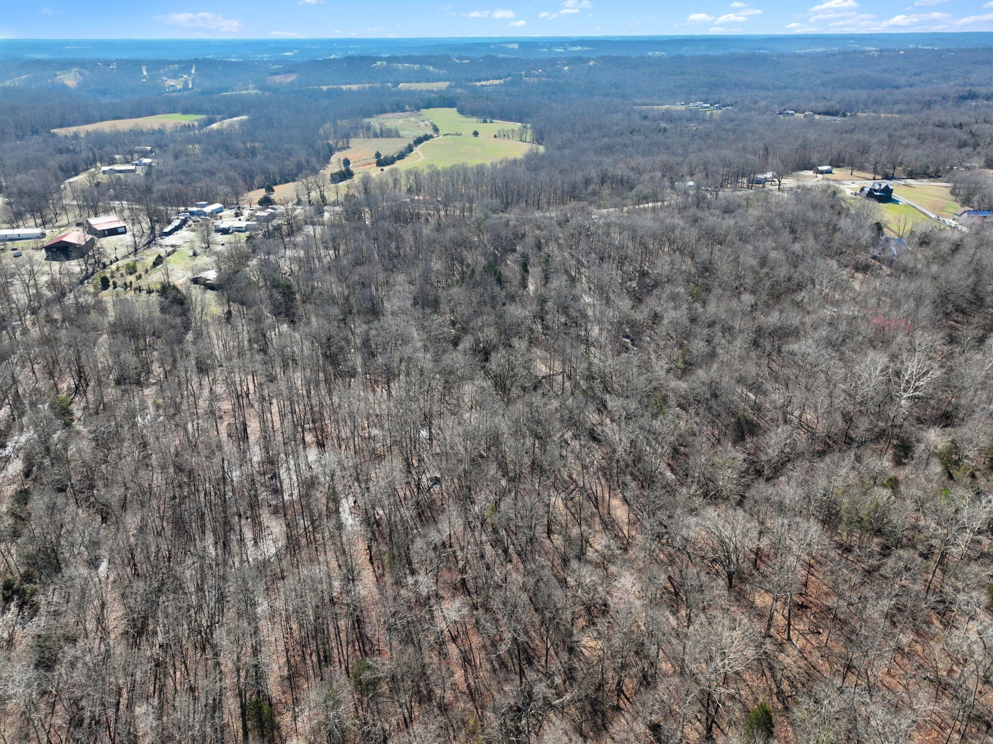 1505 Southside Road Southside, TN 37171 - Photo 8 of 23 a view of a dry yard