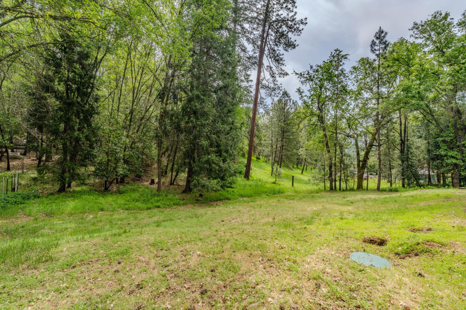14500 Pine Grove Volcano Road Pine Grove, CA 95665 - Photo 17 of 76