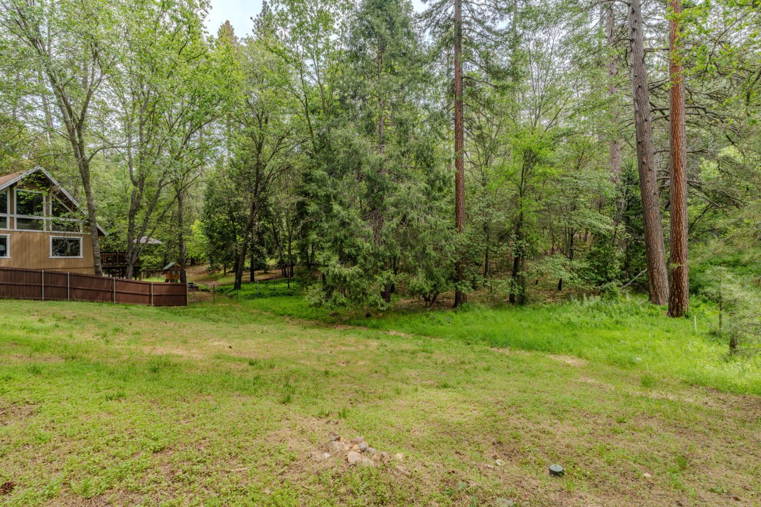 14500 Pine Grove Volcano Road Pine Grove, CA 95665 - Photo 71 of 76