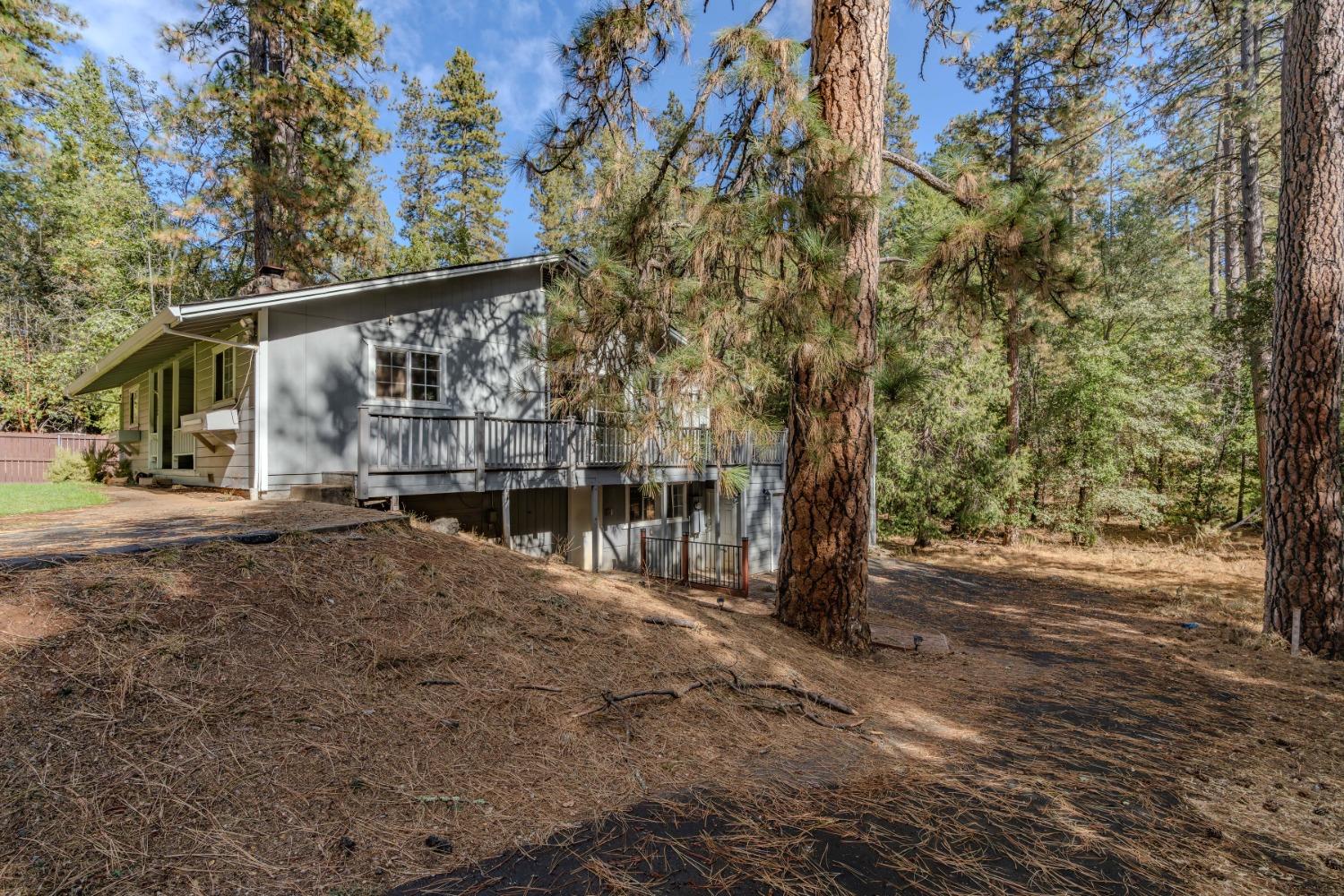 14500 Pine Grove Volcano Road Pine Grove, CA 95665 - Photo 10 of 76