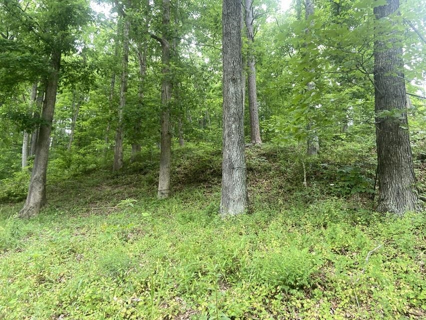 304 Wampler Br Road Greenup, KY 41144 - Photo 4 of 9