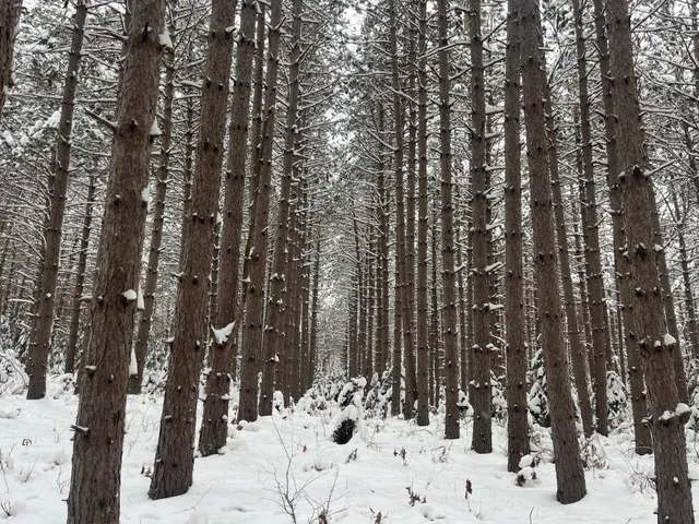 $55,000 | 29931 Minerva Road, Danbury, WI 54830