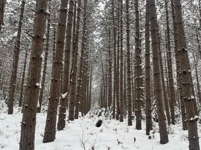 $55,000 | 29931 Minerva Road, Danbury, WI 54830