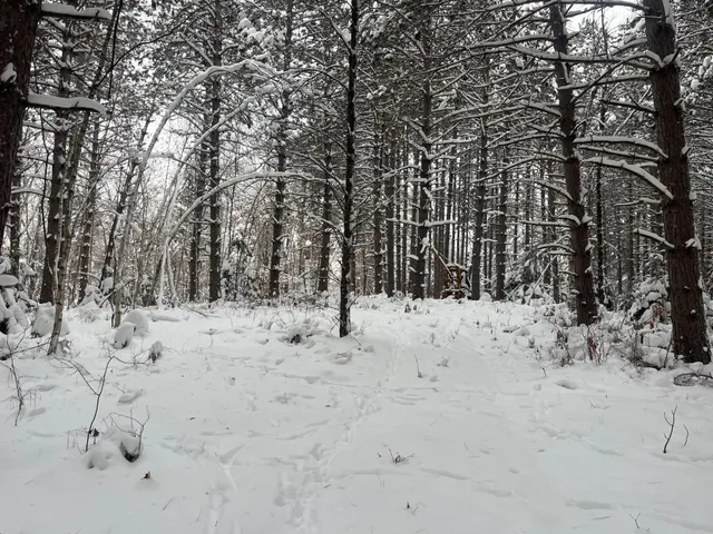 $55,000 | 29931 Minerva Road, Danbury, WI 54830