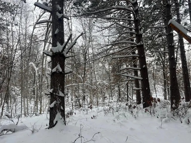 $55,000 | 29931 Minerva Road, Danbury, WI 54830