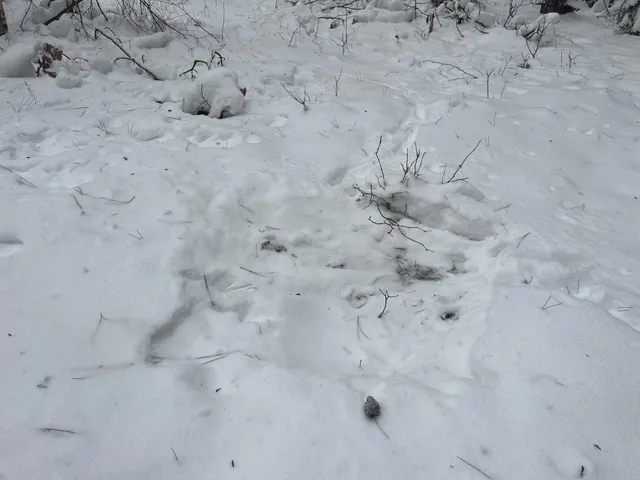 $55,000 | 29931 Minerva Road, Danbury, WI 54830