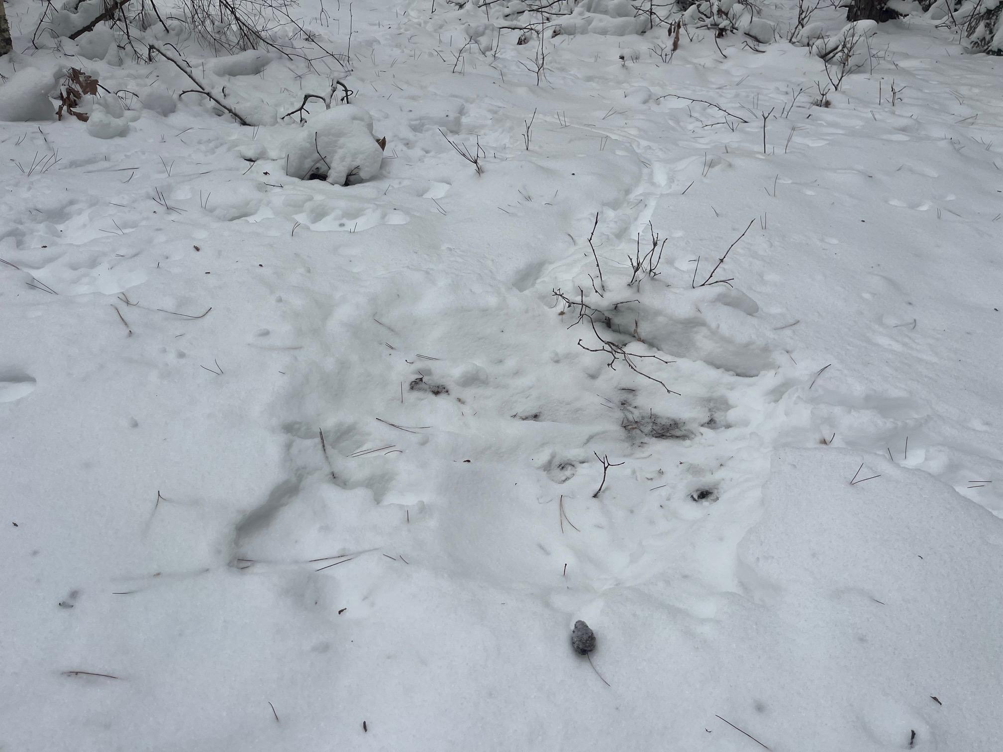 29931 Minerva Road Danbury, WI 54830 - Photo 7 of 9