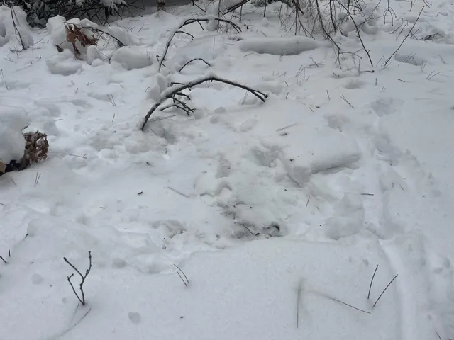 $55,000 | 29931 Minerva Road, Danbury, WI 54830