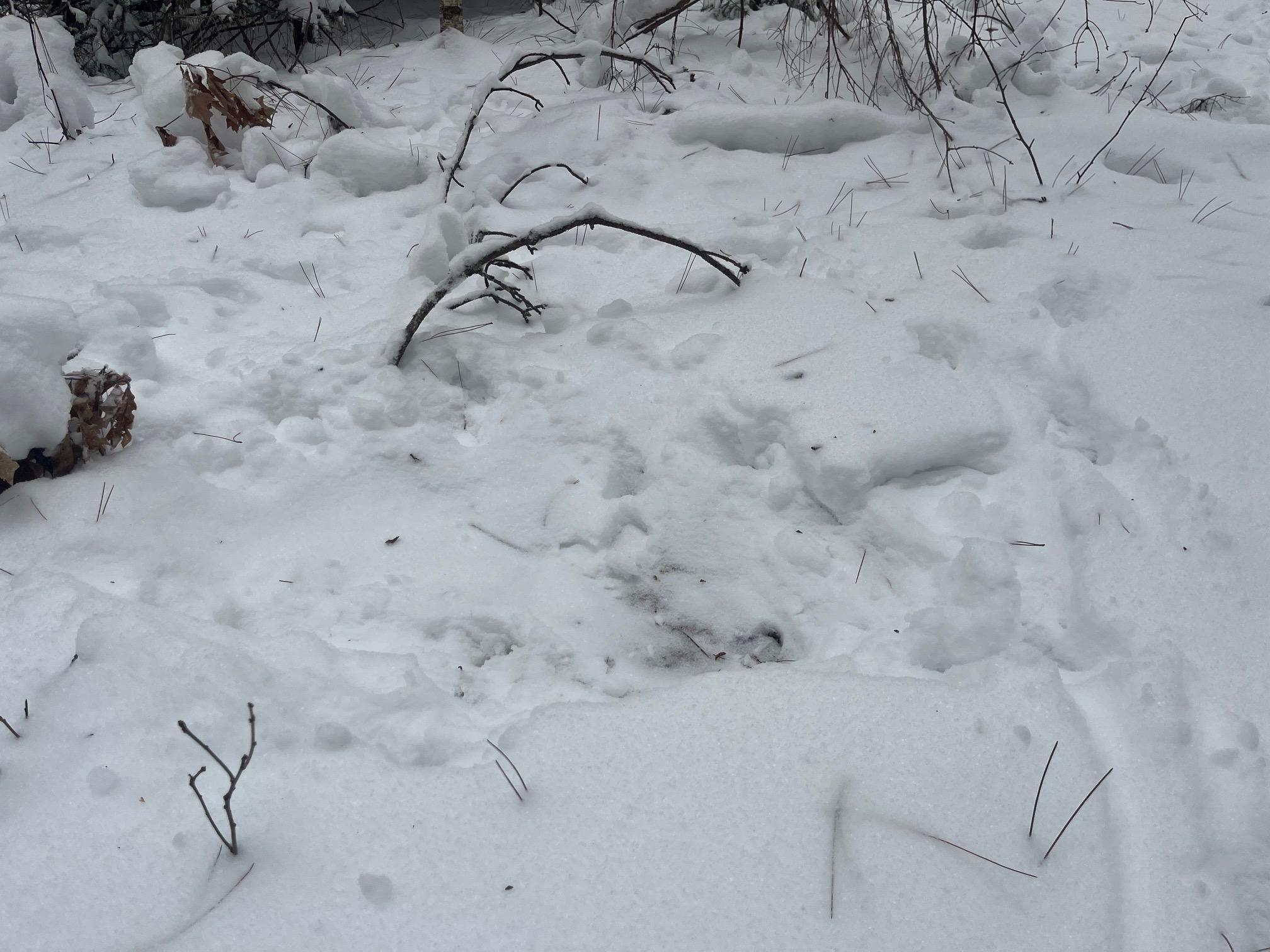 29931 Minerva Road Danbury, WI 54830 - Photo 8 of 9