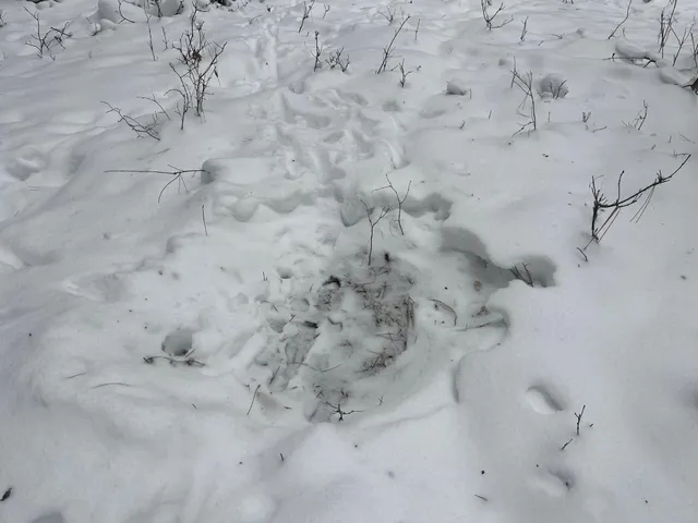 $55,000 | 29931 Minerva Road, Danbury, WI 54830