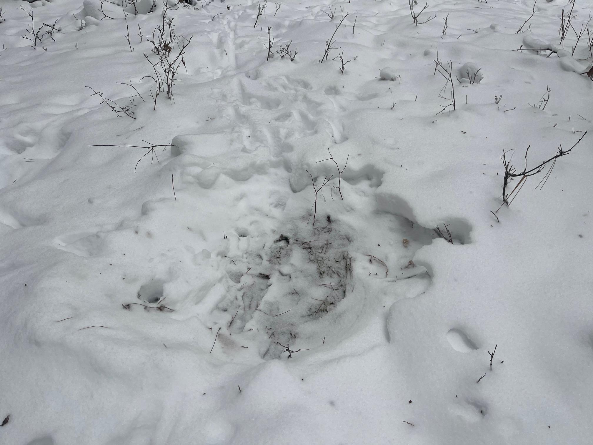 29931 Minerva Road Danbury, WI 54830 - Photo 9 of 9