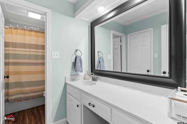 a bathroom with a sink and a mirror