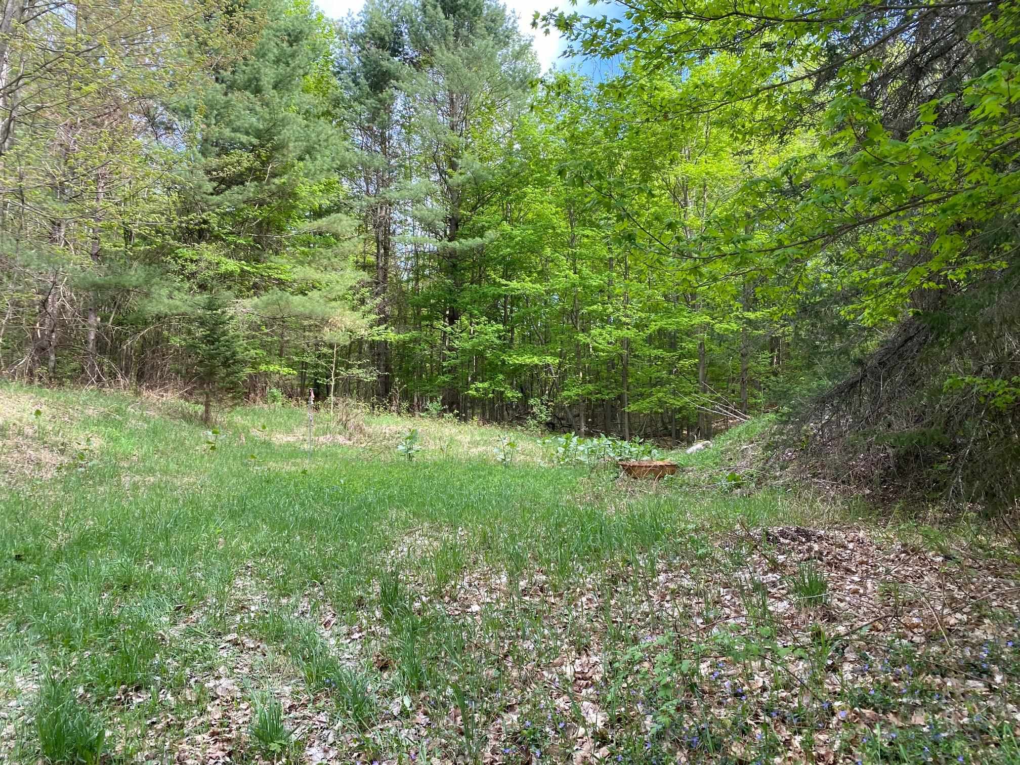 0 South Good Harbor Trail, Unit PARCEL B Cedar, MI 49621 - Photo 4 of 19
