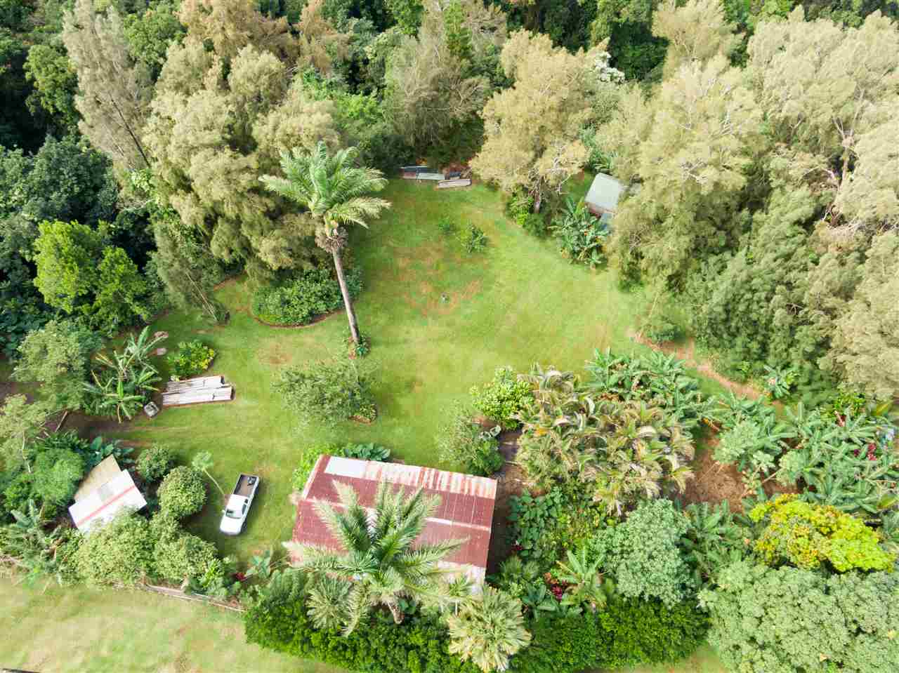 1085 West Kuiaha Road, Unit E Haiku, HI 96708 - Photo 3 of 30 a view of a garden with plants
