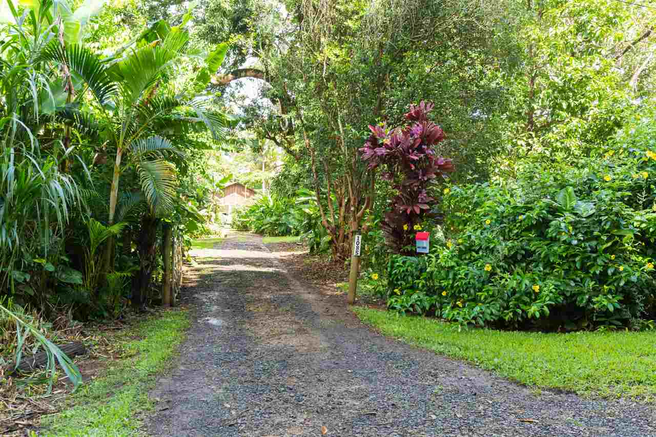 1085 West Kuiaha Road, Unit E Haiku, HI 96708 - Photo 5 of 30 a small yard with lots of green space and trees
