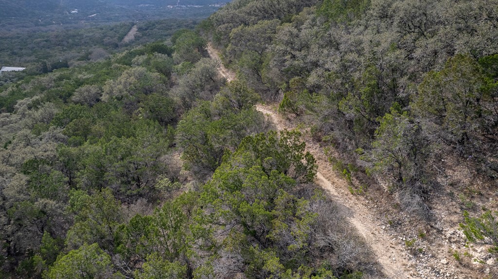 430 Frio Canyon Loop Concan, TX 78838 - Photo 24 of 55