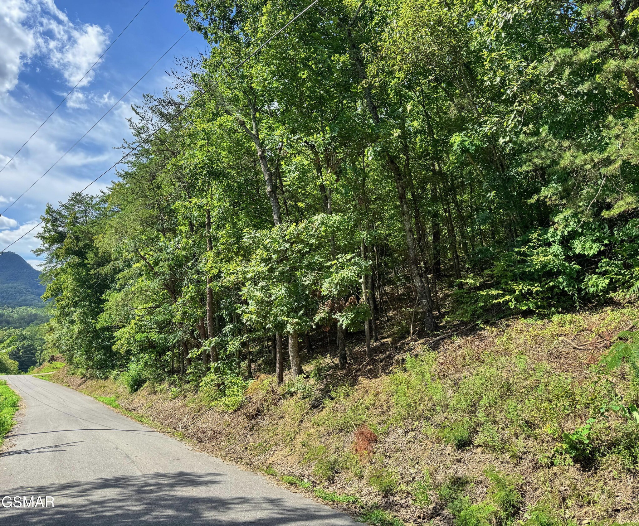 0 Helton Road Sevierville, TN 37876 - Photo 1 of 5 Gallery Image 1