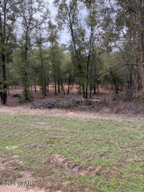 2816 Territory Road Chipley, FL 32428 - Photo 1 of 13