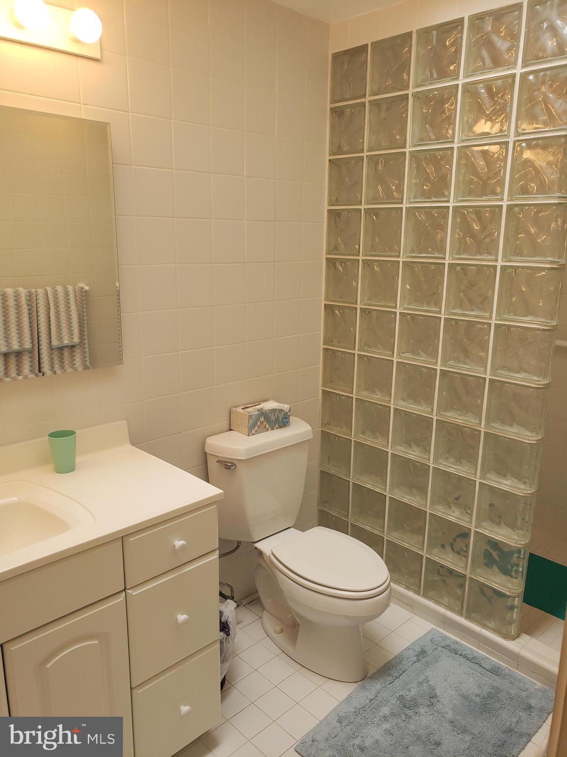 19633 Tower Hill Road Leonardtown, MD 20650 - Photo 31 of 38 Owners suite 2 bathroom