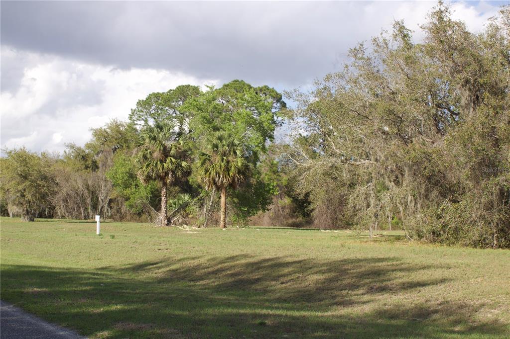 Ridge Road, Unit 47 Tavares, FL 32778 - Photo 31 of 41