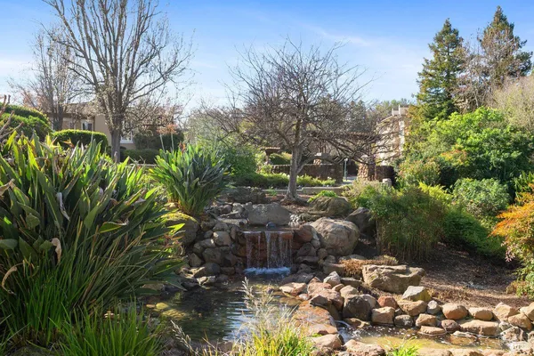 a view of a garden