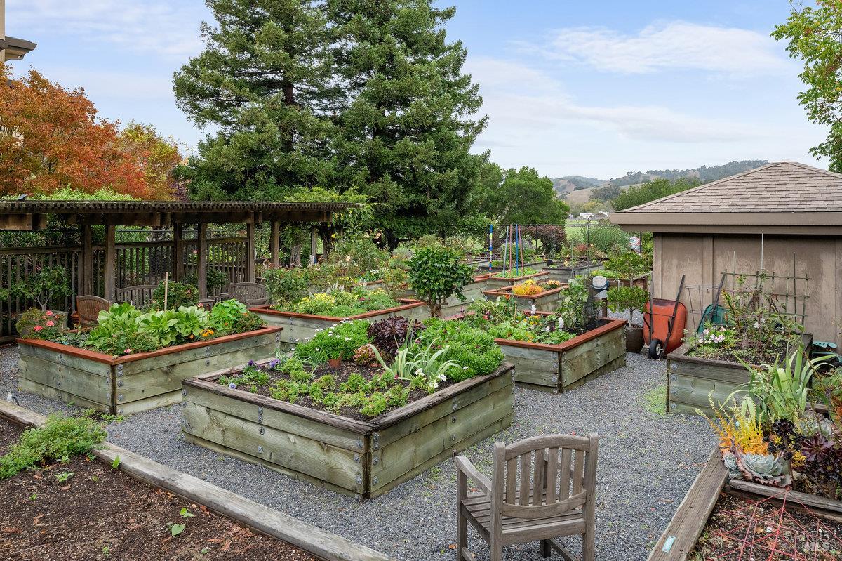 400 Deer Valley Road, Unit 4D San Rafael, CA 94903 - Photo 47 of 50 For gardening enthusiasts there are raised beds to grow flowers or vegetables
