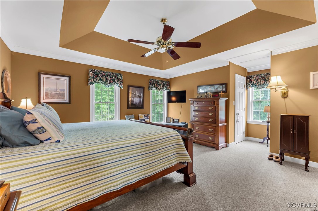 2655 Dorset Ridge Road Powhatan, VA 23139 - Photo 32 of 50 Bedroom with a tray ceiling, crown molding, light