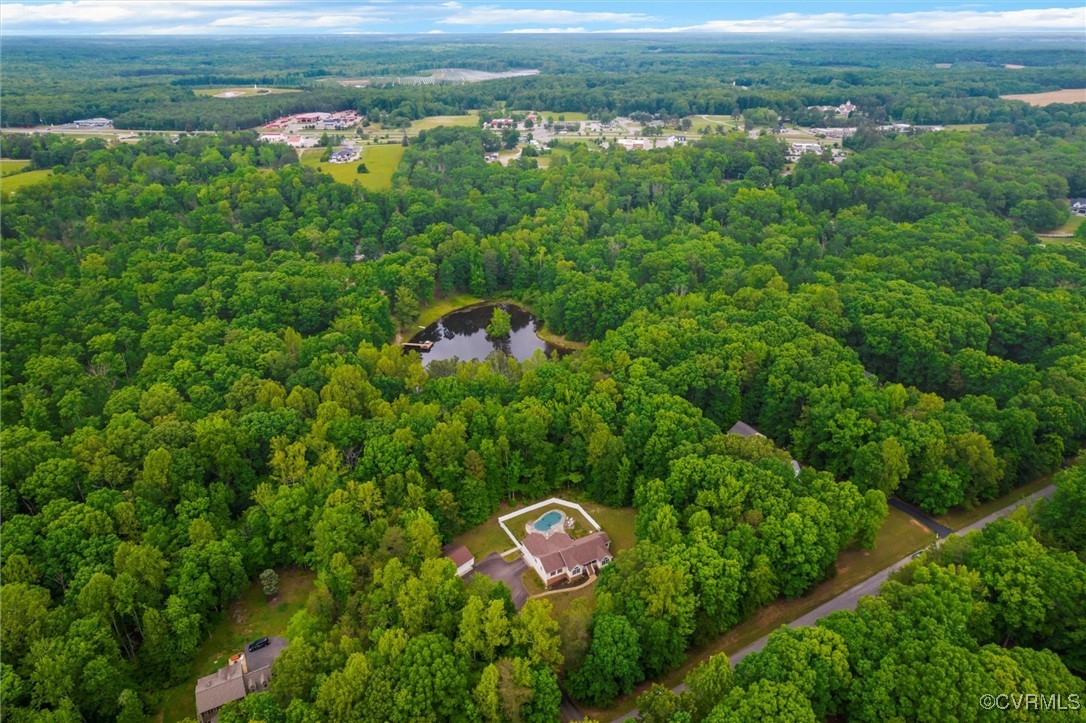 2655 Dorset Ridge Road Powhatan, VA 23139 - Photo 4 of 50 Bird's eye view of a forest and a large body of wa