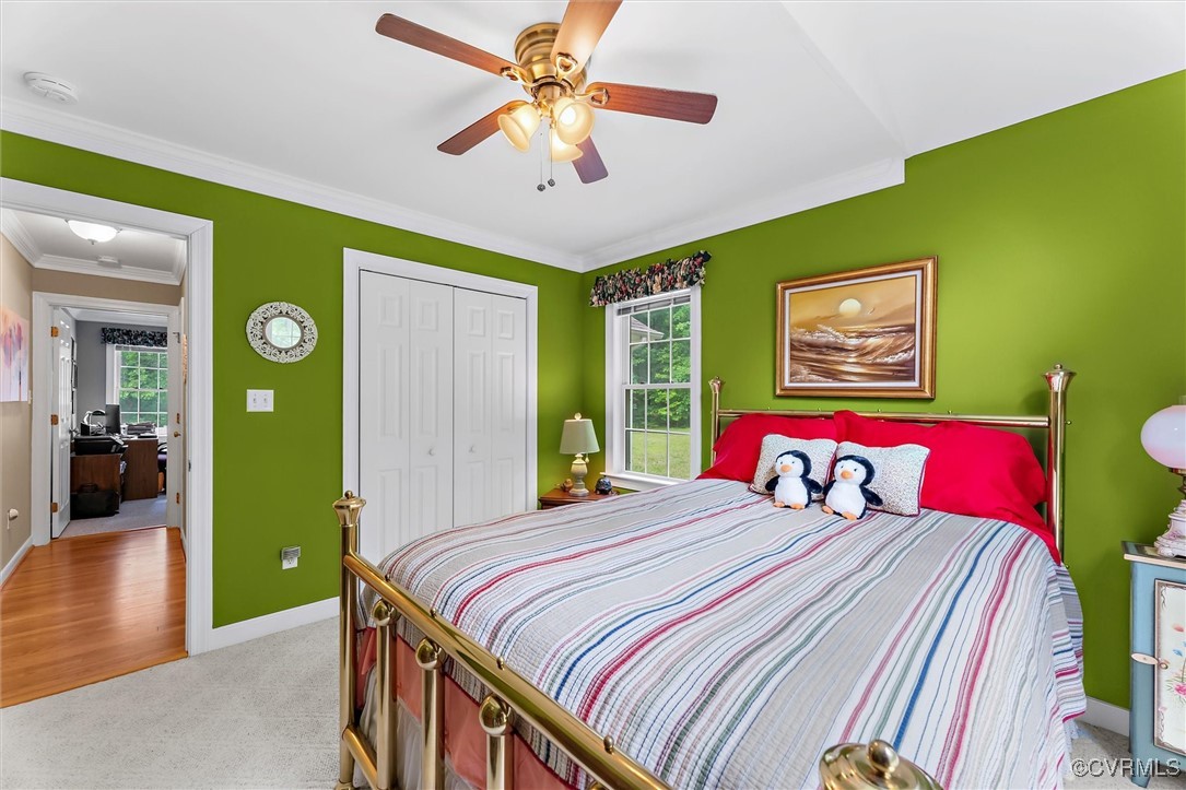2655 Dorset Ridge Road Powhatan, VA 23139 - Photo 42 of 50 Bedroom featuring crown molding, a closet, light c