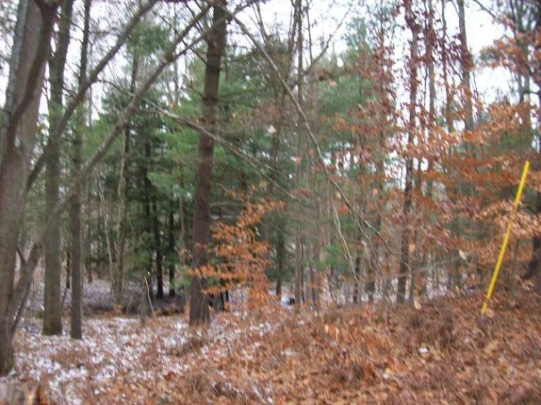 7318 8 Mile Road Hesperia, MI 49421 - Photo 10 of 11 Additional Photo