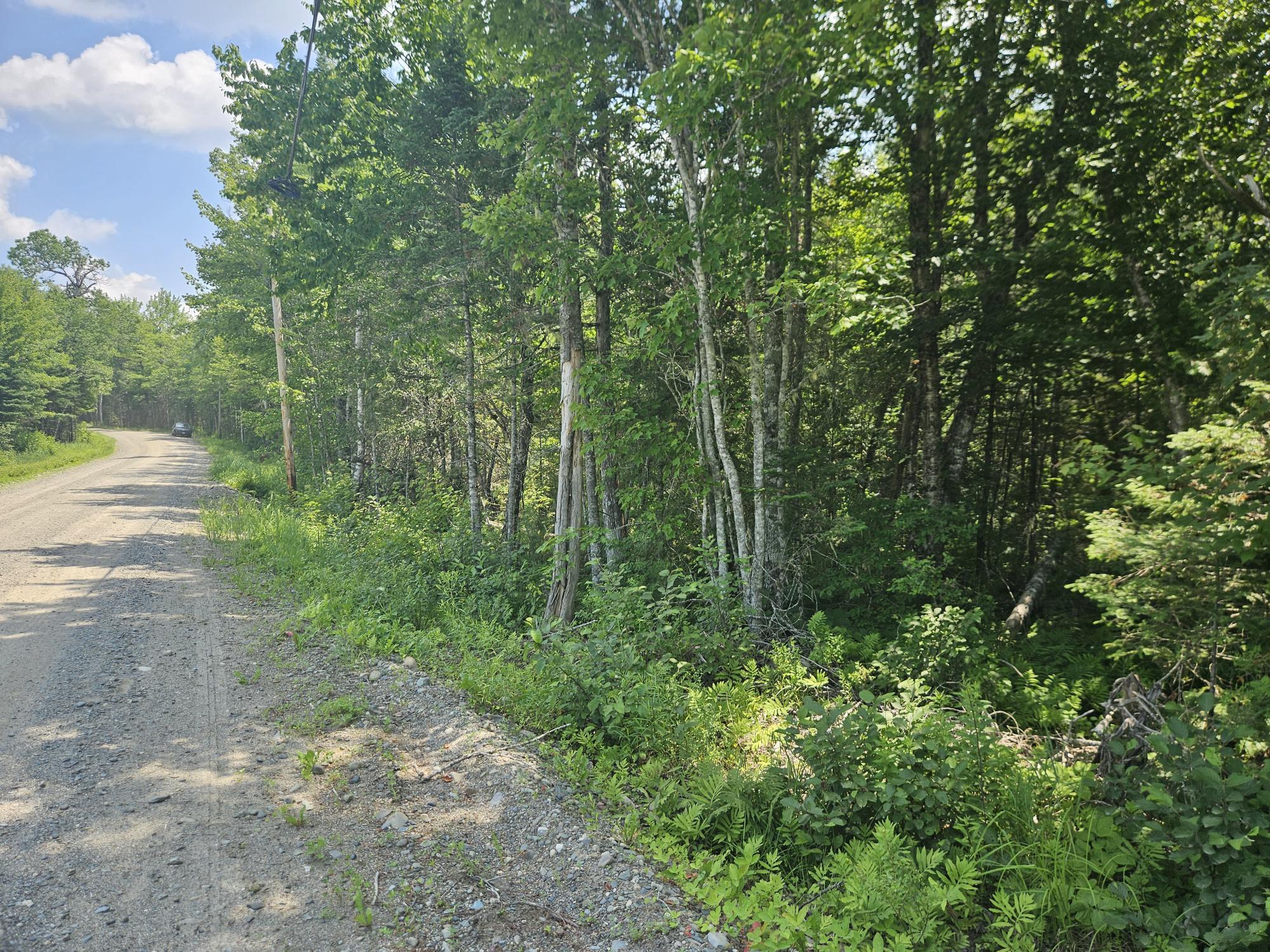6 Myra Road Greenbush, ME 04418 - Photo 1 of 36 20250703_120007