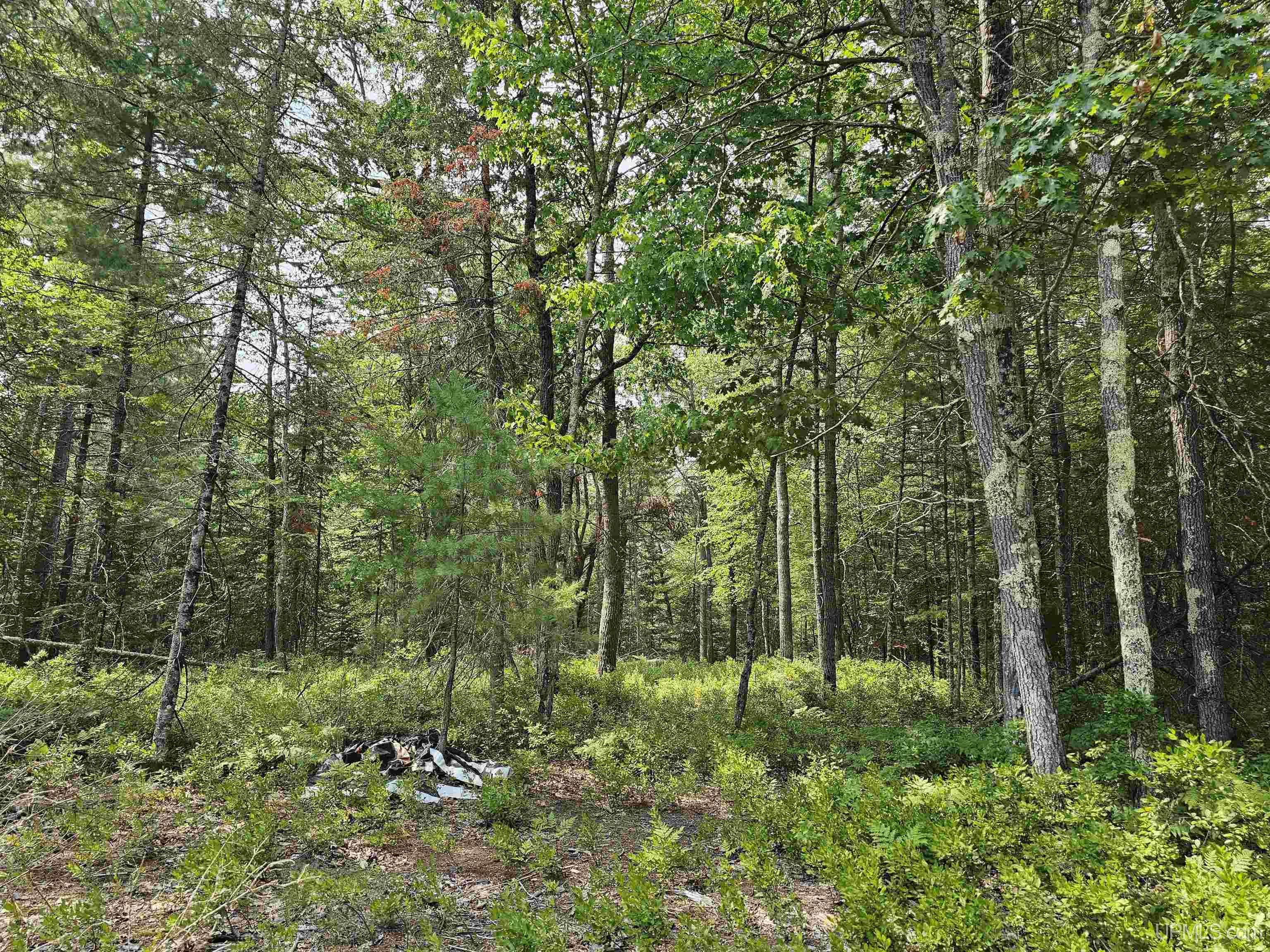 9157 Co Road Rapid River, MI 49878 - Photo 37 of 53