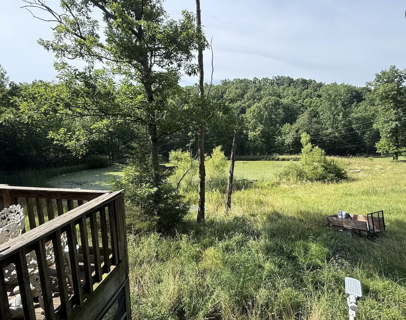 162 Tracy Road Hohenwald, TN 38462 - Photo 34 of 45