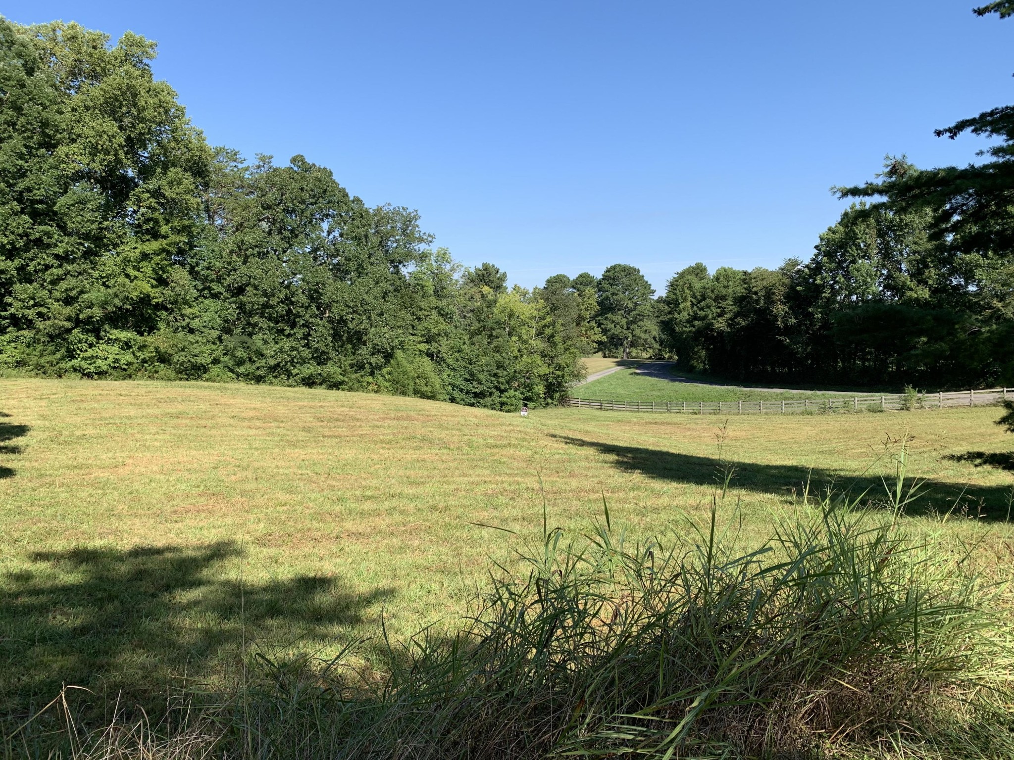 9 County Road 705 Riceville, TN 37370 - Photo 5 of 10 Gallery Image 5