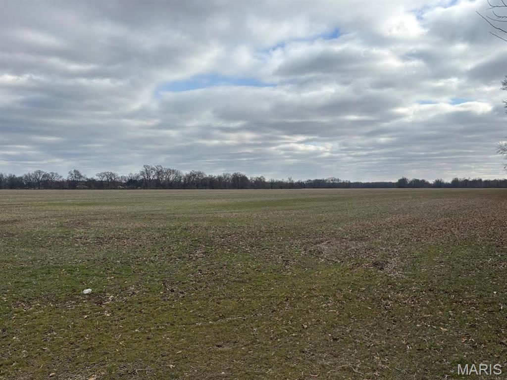 3547 South College St Road Salem, IL 62881 - Photo 2 of 4