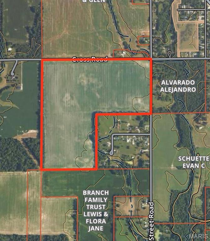 3547 South College St Road Salem, IL 62881 - Photo 3 of 4