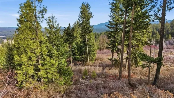 $775,000 | Xxxxx Xxxxx Wildcat Ridge, Deer Park, WA 99006