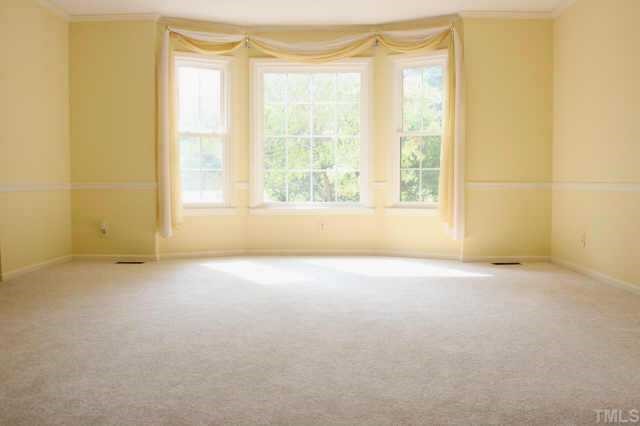 5226 Russell Road Durham, NC 27712 - Photo 5 of 8 an empty room with a empty space and a window