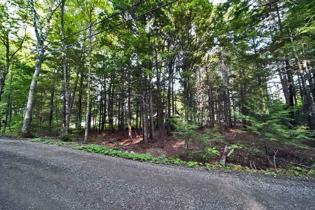 638 Sandy Beach Road Danforth, ME 04424 - Photo 91 of 94 road-frontage-east-grand