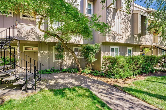 a view of a white house next to a yard with potted plants and a large tree