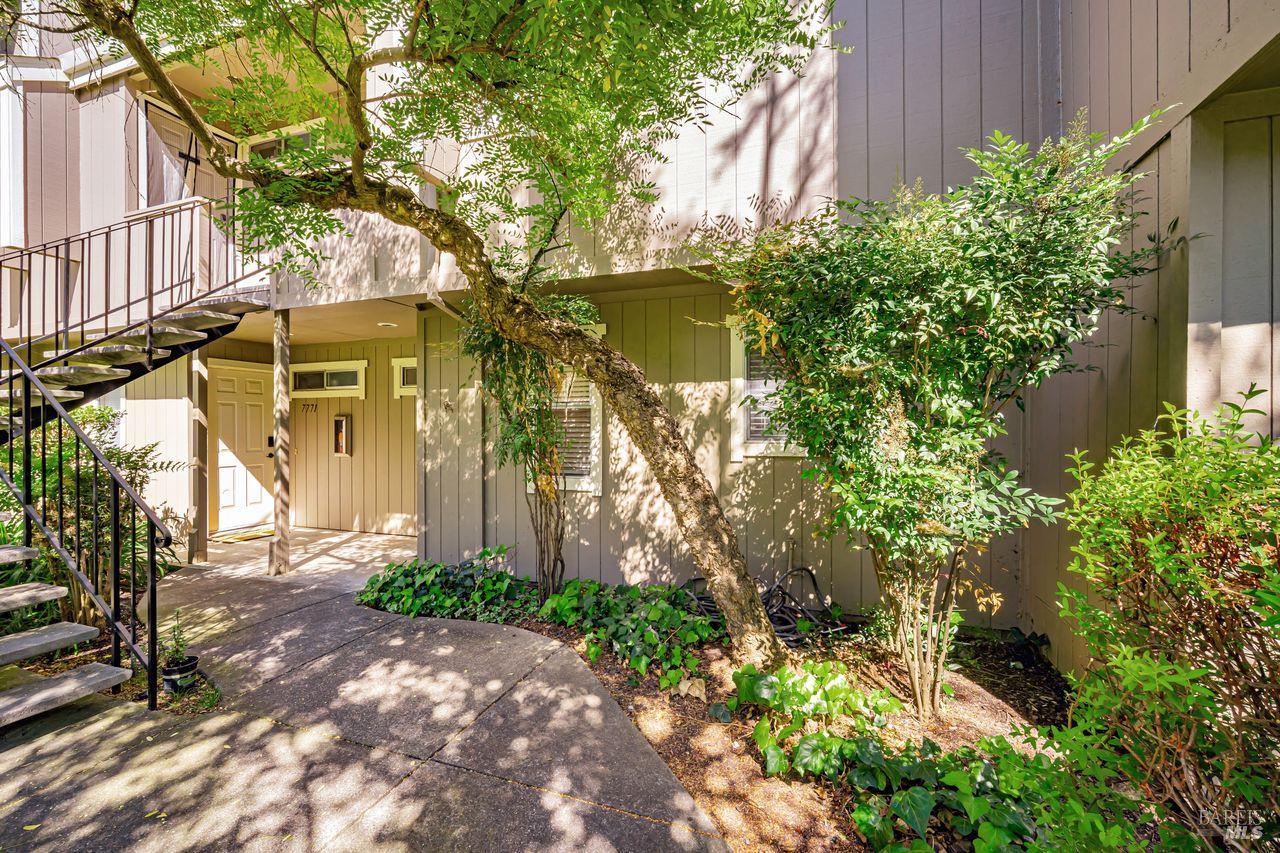 7767 Camino Colegio Rohnert Park, CA 94928 - Photo 3 of 39