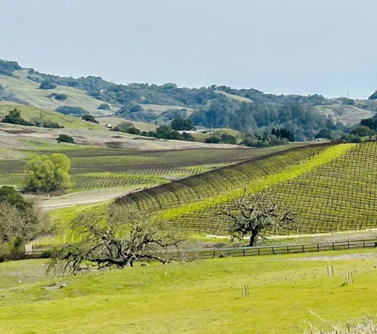 $283,000 | 7767 Camino Colegio, Rohnert Park, CA 94928