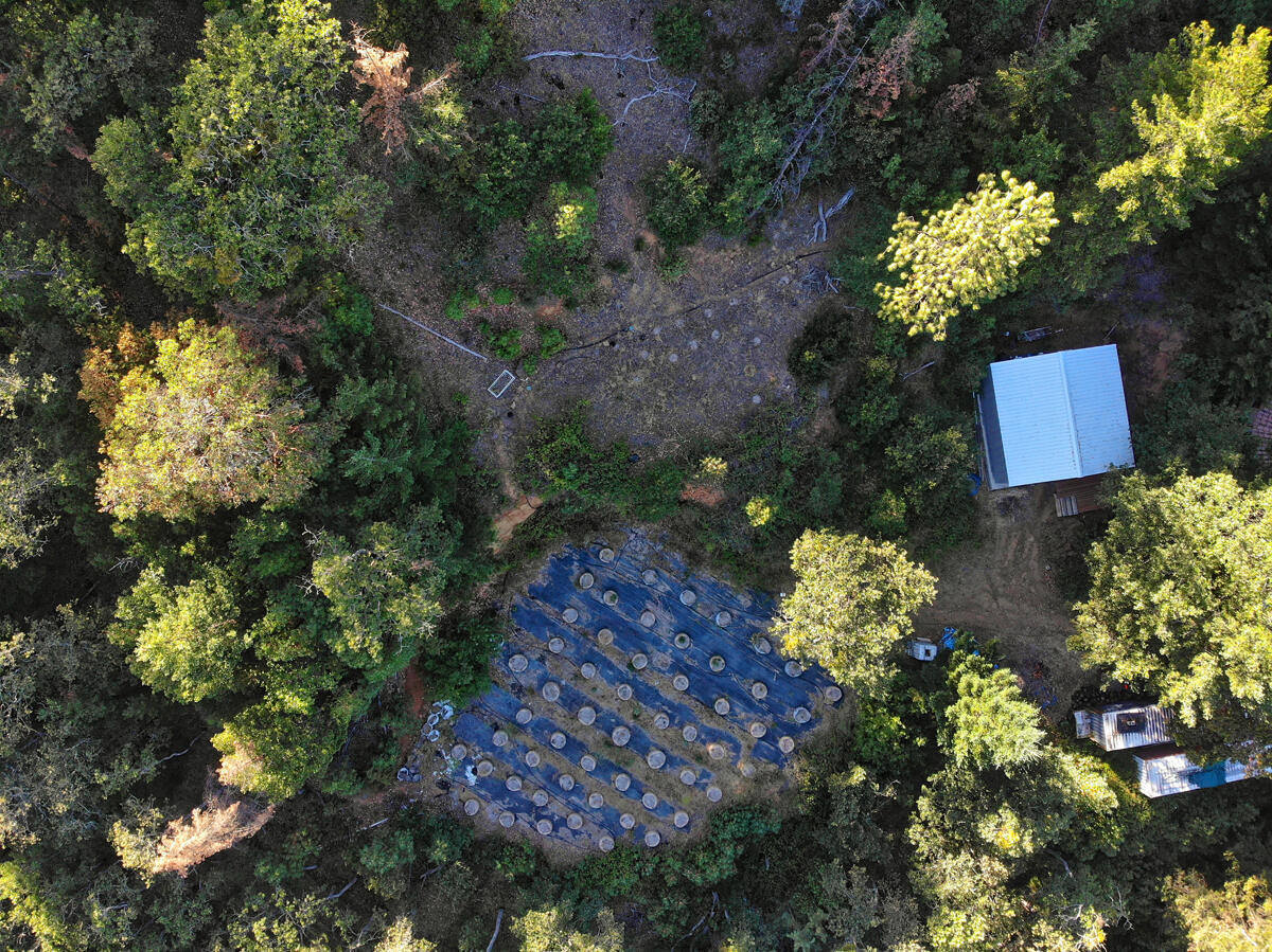 1650 Neil Creek Road Ashland, OR 97520 - Photo 47 of 48 DJI_0079.jpg.47
