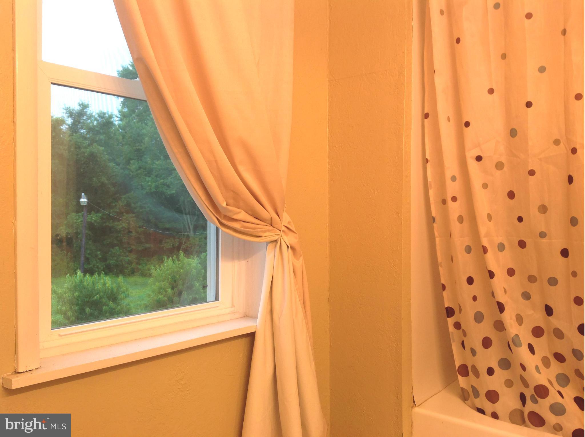 24939 Holsinger Lane Ridgely, MD 21660 - Photo 17 of 30 Bath (Master)