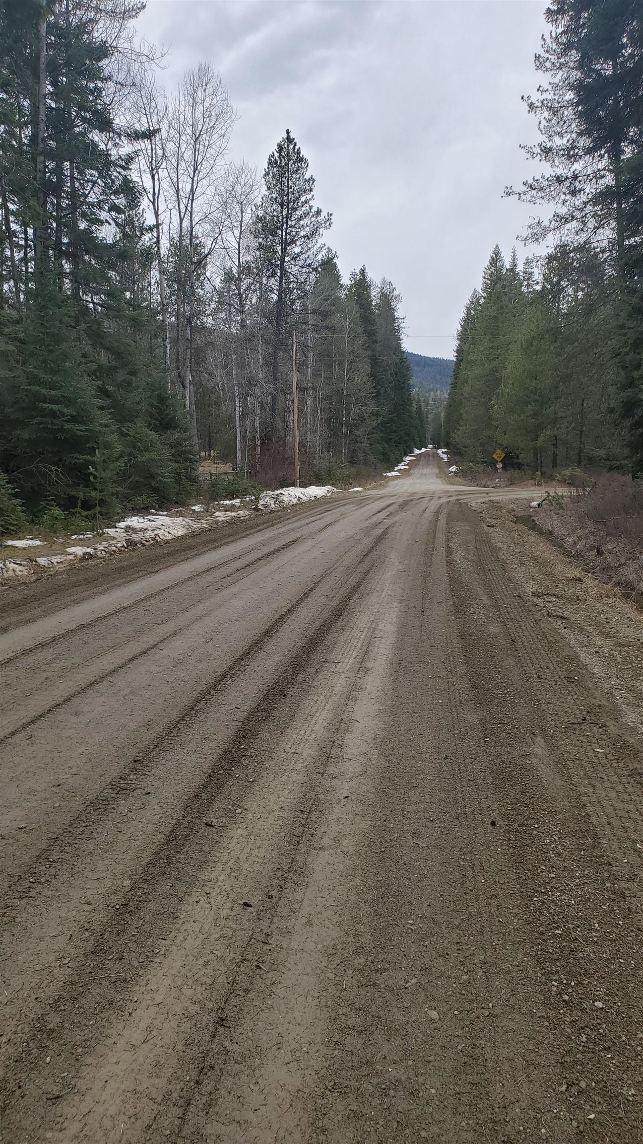 Lot 2 Rustic Road Cusick, WA 99119 - Photo 5 of 7