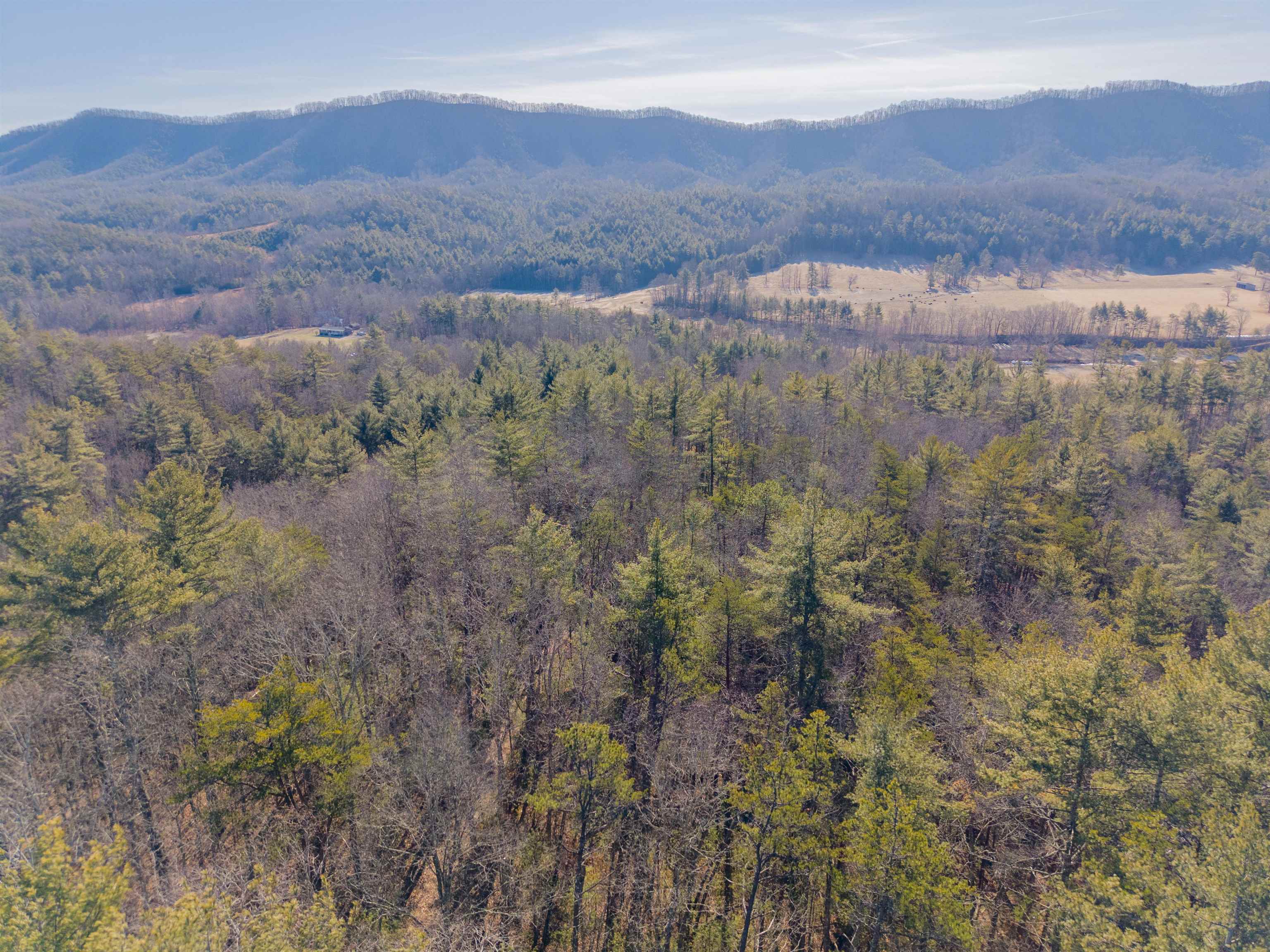 0 Kimberling Road Bland, VA 24315 - Photo 70 of 72 Gallery Image 70